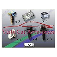 Rezaw - Plast Tornilleria y Clips para Cubrecarter 90236